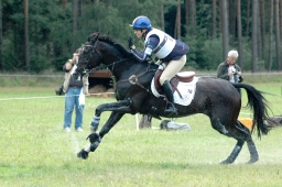 luhmuehlen-2011_cci4-221-jpg