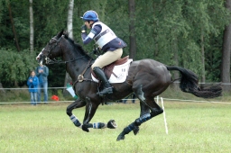 luhmuehlen-2011_cci4-222-jpg