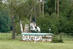 luhmuehlen-2011_cci4-223-jpg