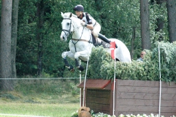 luhmuehlen-2011_cci4-225-jpg
