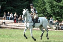 luhmuehlen-2011_cci4-226-jpg