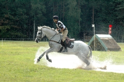 luhmuehlen-2011_cci4-229-jpg