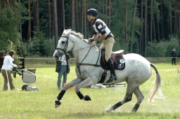 luhmuehlen-2011_cci4-230-jpg