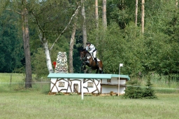 luhmuehlen-2011_cci4-231-jpg