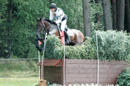 luhmuehlen-2011_cci4-233-jpg