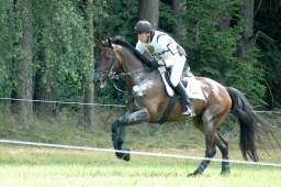 luhmuehlen-2011_cci4-234-jpg