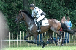 luhmuehlen-2011_cci4-235-jpg