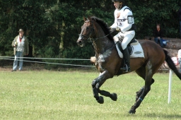 luhmuehlen-2011_cci4-236-jpg