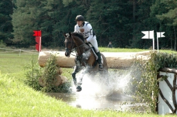 luhmuehlen-2011_cci4-238-jpg