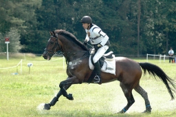 luhmuehlen-2011_cci4-240-jpg