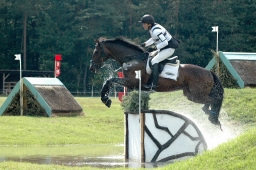 luhmuehlen-2011_cci4-239-jpg