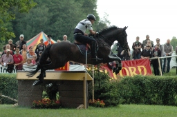 luhmuehlen-2011_cic3-013-jpg