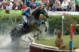 luhmuehlen-2011_cic3-058-jpg