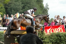 luhmuehlen-2011_cic3-061-jpg