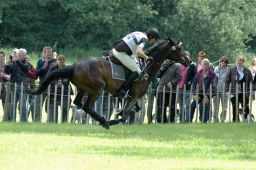 luhmuehlen-2011_cic3-062-jpg