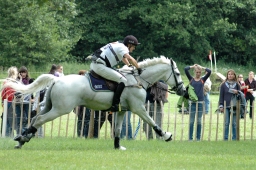 luhmuehlen-2011_cic3-069-jpg