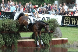 luhmuehlen-2011_cic3-070-jpg