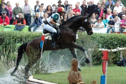 luhmuehlen-2011_cic3-071-jpg