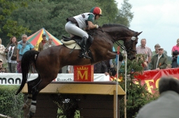 luhmuehlen-2011_cic3-072-jpg