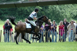 luhmuehlen-2011_cic3-074-jpg