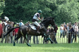 luhmuehlen-2011_cic3-076-jpg