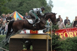 luhmuehlen-2011_cic3-079-jpg