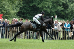 luhmuehlen-2011_cic3-083-jpg