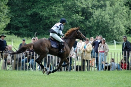 luhmuehlen-2011_cic3-088-jpg