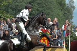 luhmuehlen-2011_cic3-093-jpg