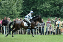 luhmuehlen-2011_cic3-096-jpg
