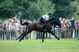 luhmuehlen-2011_cic3-100-jpg