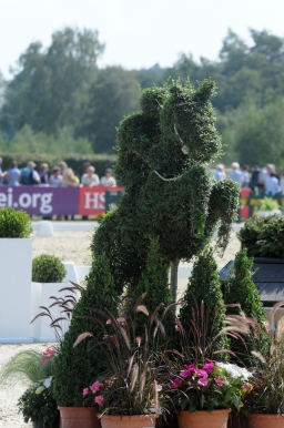 luhmuehlen-2011_euro-freitag-002-jpg