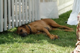 luhmuehlen-2011_euro-freitag-027-jpg