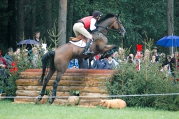 luhmuehlen-2011_euro-203-jpg