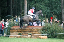 luhmuehlen-2011_euro-210-jpg