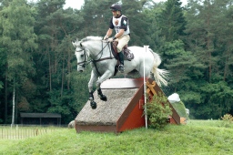 luhmuehlen-2012_cci4-012-jpg