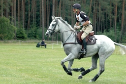 luhmuehlen-2012_cci4-013-jpg