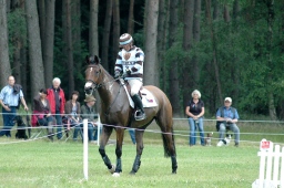 luhmuehlen-2012_cci4-024-jpg