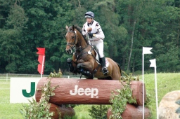 luhmuehlen-2012_cci4-025-jpg