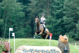 luhmuehlen-2012_cci4-030-jpg