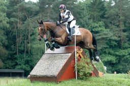 luhmuehlen-2012_cci4-033-jpg