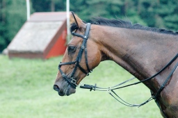 luhmuehlen-2012_cci4-036-jpg