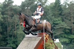 luhmuehlen-2012_cci4-040-jpg