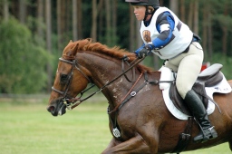 luhmuehlen-2012_cci4-046-jpg