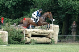 luhmuehlen-2012_cci4-048-jpg