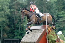 luhmuehlen-2012_cci4-050-jpg