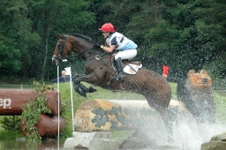 luhmuehlen-2012_cci4-055-jpg