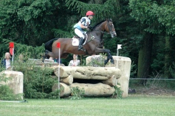 luhmuehlen-2012_cci4-057-jpg