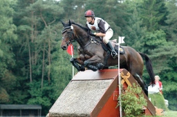 luhmuehlen-2012_cci4-059-jpg