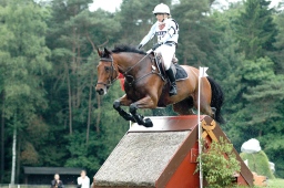 luhmuehlen-2012_cci4-063-jpg